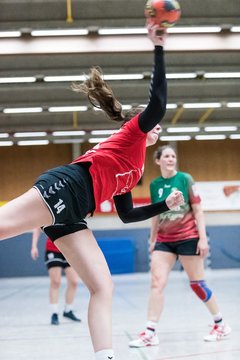 Bild 213 - F HSG Kremperheide/Muensterdorf - TSV SR Schuelp : Ergebnis: 19:14